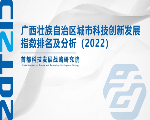 日本女人鸡巴喷水视频【成果发布】广西壮族自治区城市科技创新发展指数排名及分析（2022）